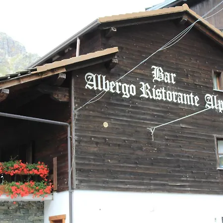 Alpino Cheggio *