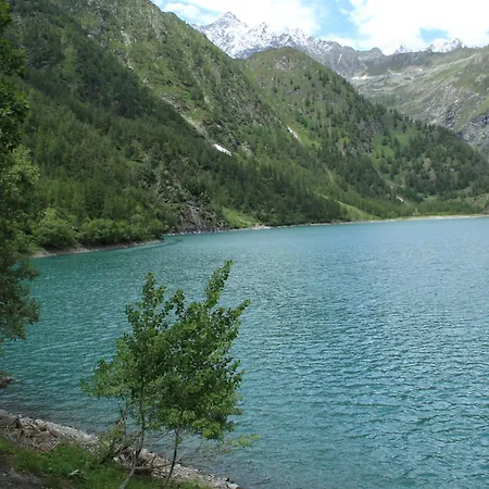 Hotel Alpino Cheggio Alpe Cheggio