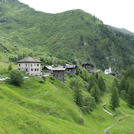 Alpino Cheggio